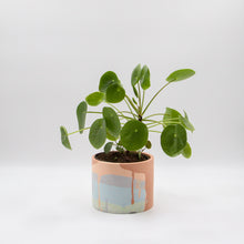 Load image into Gallery viewer, Plant Pot Desert Valley