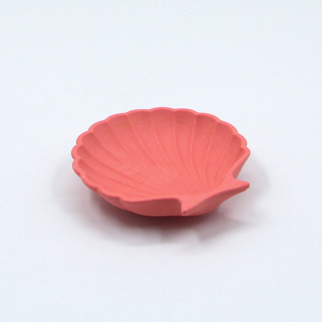 Shell Dish Coral Reef