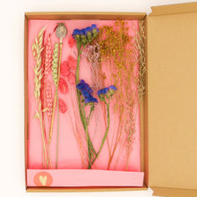 Afbeelding in Gallery-weergave laden, Droogbloemen Forever Flowers Pink Purple
