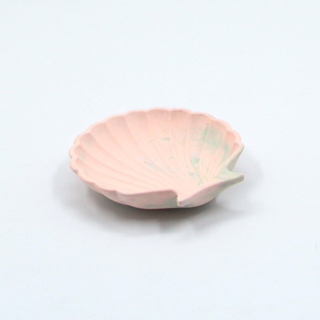 Shell Dish Forest Morning